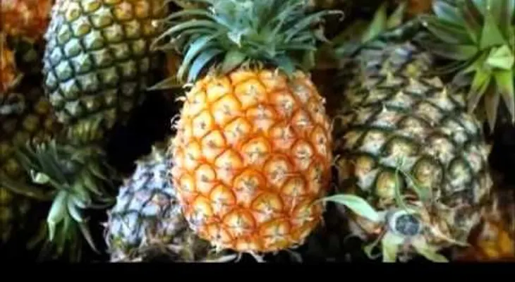 Video: Jugo licuado para eliminar grasas y toxinas 