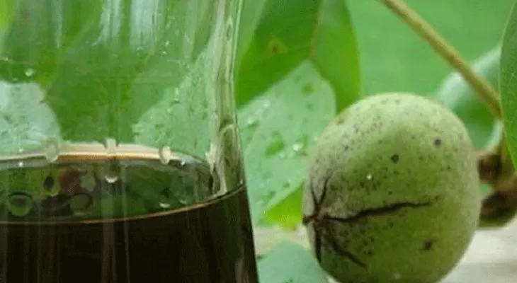 Infusión para decirle ADIOS a la tiroides, garganta y bronquitis