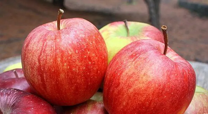 La cáscara de manzana, útil para bajar de peso