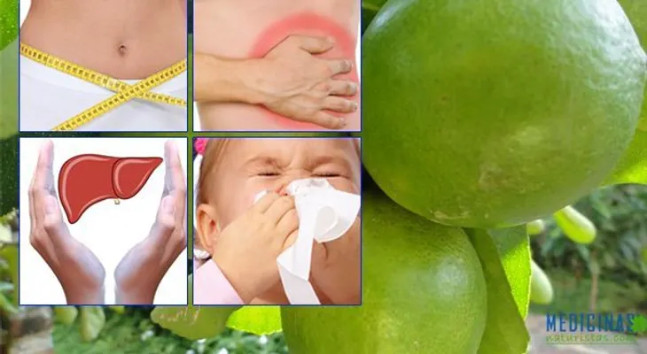 El limón para la salud y la belleza: Contra 150 enfermedades