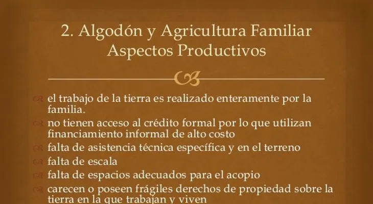 Productores nacionales reclaman erradicar los intermediarios