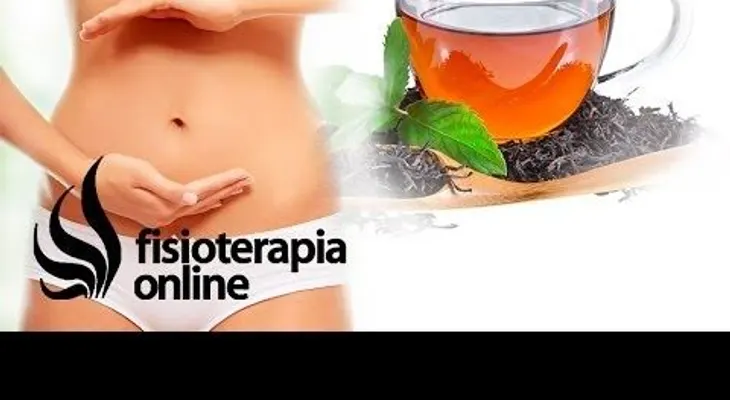 Riñón-vejiga, útero, ovarios y próstata; todas las plantas medicinales