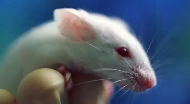 Dicen tratamiento contra el cáncer puede llevar a la indigencia