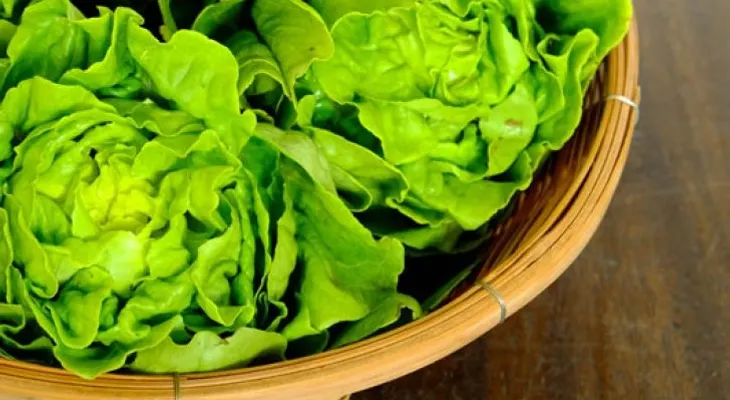 La lechuga disminuye el colesterol y ayuda a bajar de peso: Otras razones para tenerla como tu amiga 