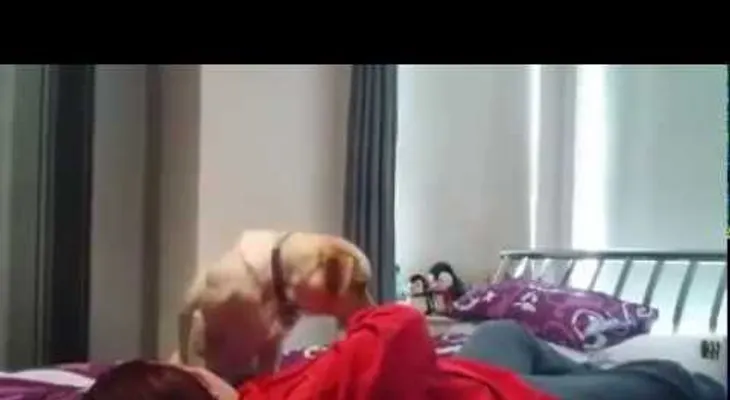 Este perro evita asfixia de su dueña cuando sufre una epilepsia (VIDEO)