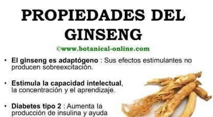 Plantas medicinales, propiedades del Ginseng