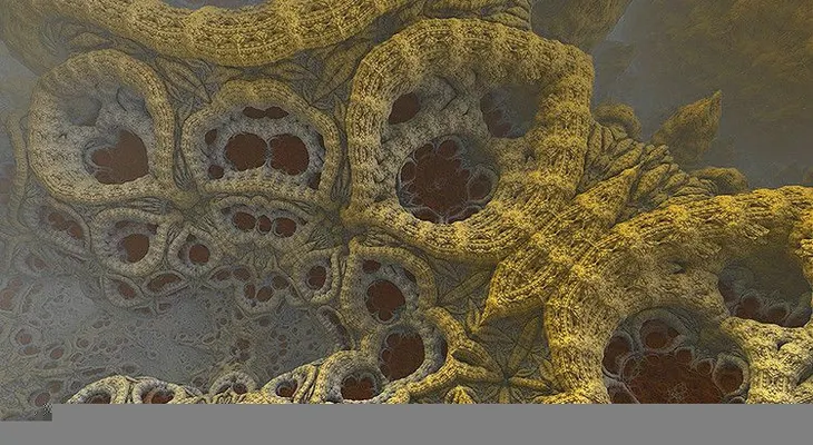 Una bacteria comepiernas causa pánico entre los regatistas olímpicos 
