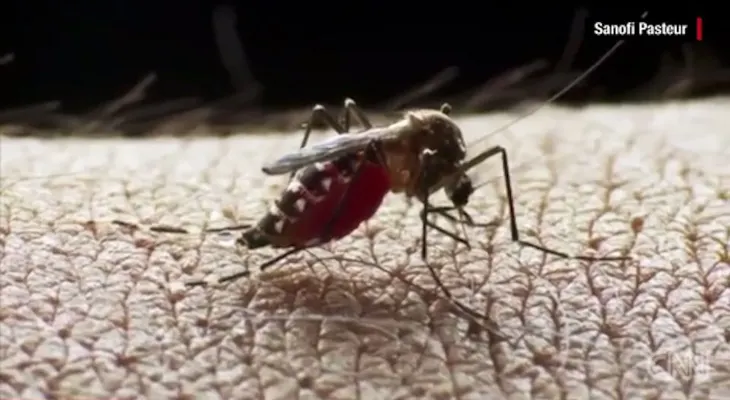 Ecuador registra 10 casos del virus del Zika