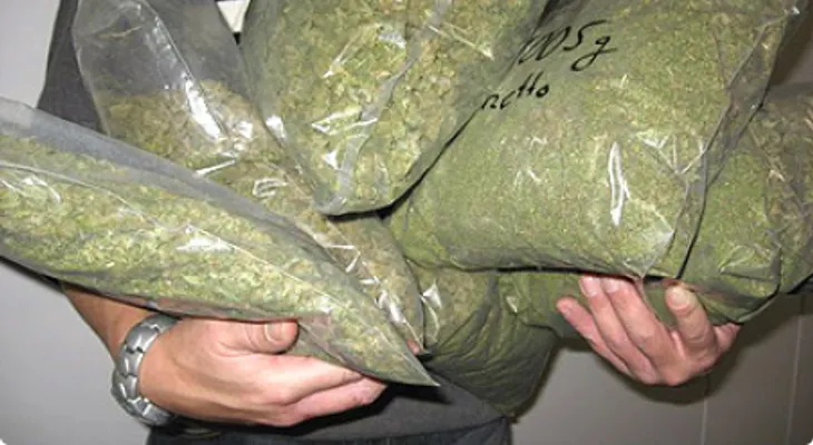 DNCD apresa haitiano cruzó la frontera para vender cinco libras de marihuana 