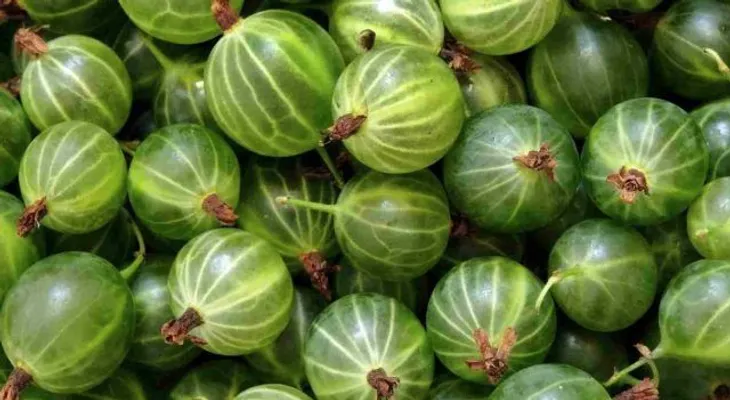 Esta fruta MILAGROSA mata el 98 por ciento células cancerígenas: también es efectiva para la diabetes