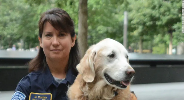 Ponen a dormir a la última perra de rescate que ayudó en el 11 de septiembre