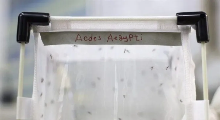  Se elevan a 70 los casos del virus del Zika en Nicaragua