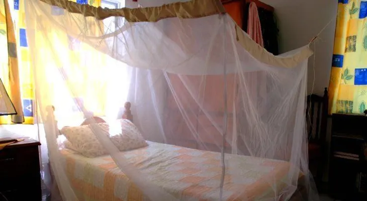 ¿Cómo evitar las picaduras de los mosquitos?