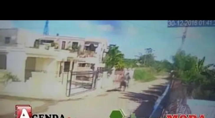 Atracadores se mueven en caballo para robar en casas de SFM 