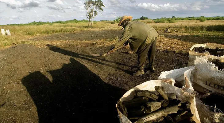 Cuba exportará carbón a Estados Unidos por primera vez en más de 50 años