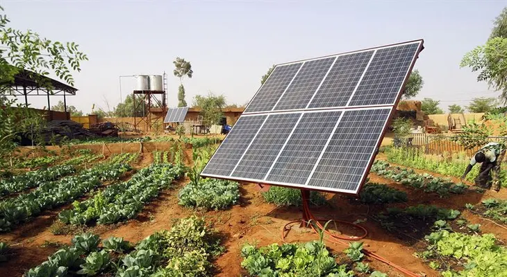 "RD puede convertirse entre países líderes en despliegue de energías renovables", según informe