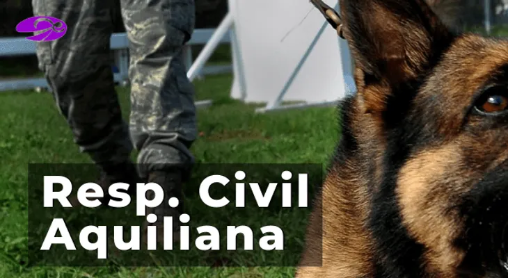 Qué es la responsabilidad civil aquiliana