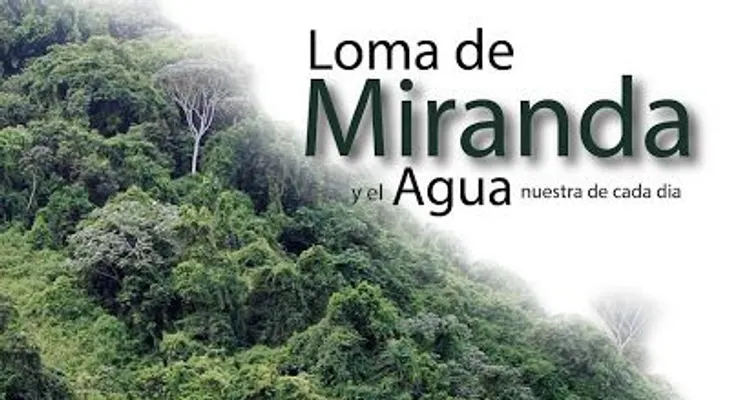 Sindicalistas: conversión de Loma Miranda en Parque Nacional pone en riesgo la seguridad jurídica 