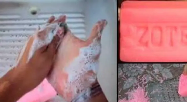 Nunca pensé que un simple jabón rosado sirviera para ahuyentar las moscas y cucarachas (VIDEO)