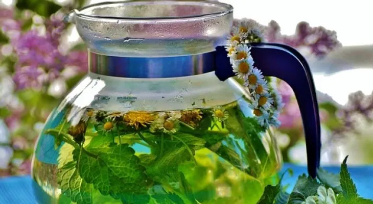 Descubre las propiedades del toronjil o melisa: Aromática y muy medicinal