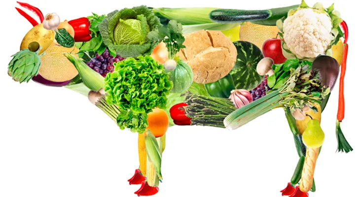 11 beneficios de ser vegetariana