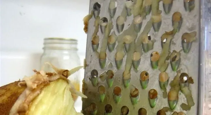 20 Trucos de limpieza brillantes 