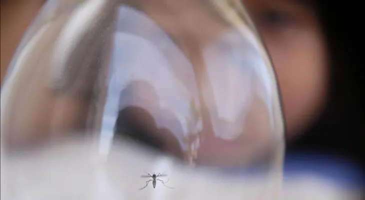 Cuba refuerza la vigilancia epidemiológica para evitar entrada del Zika