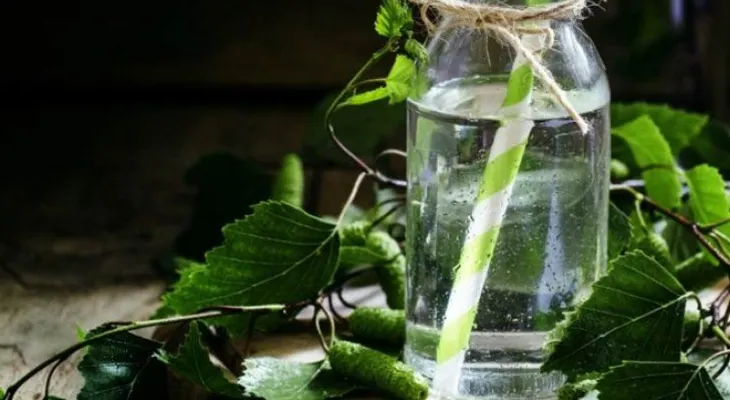 El agua de abedul está de moda: ¿cuáles son sus propiedades?