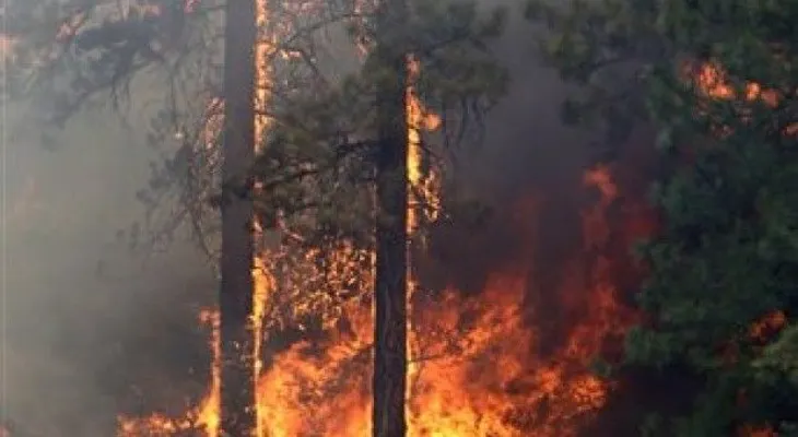Empleado de Medio Ambiente resulta con quemaduras al intentar apagar fuego forestal