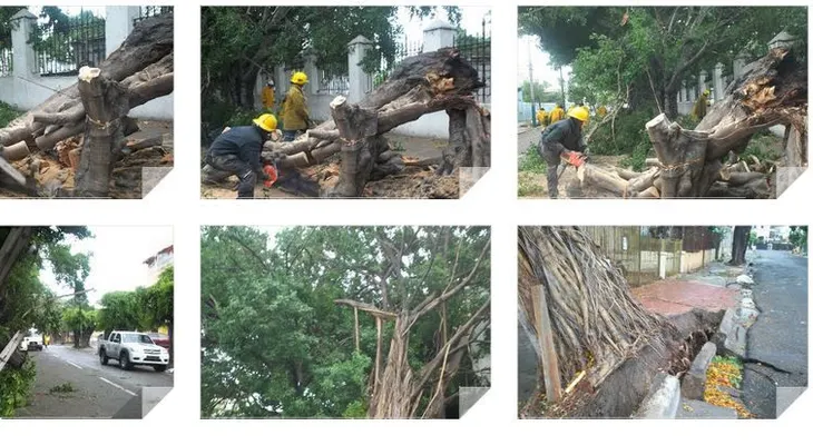 En gráficas secuelas de Erika por sector de Gazcue