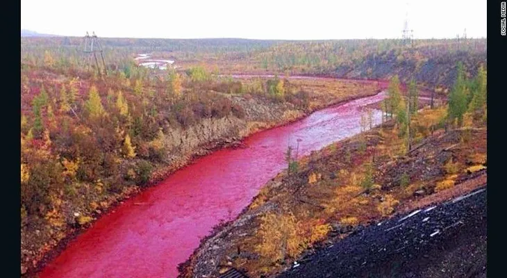 ¿Por qué este río en Rusia se volvió de color rojo?