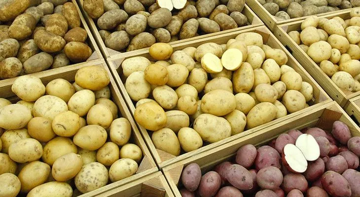 ¿Qué pasaría si solo comiéramos papas? (VIDEO)