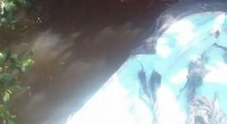 Policía investiga muerte de hombre atado con bloques de cementos; creen sería disputa por punto de droga