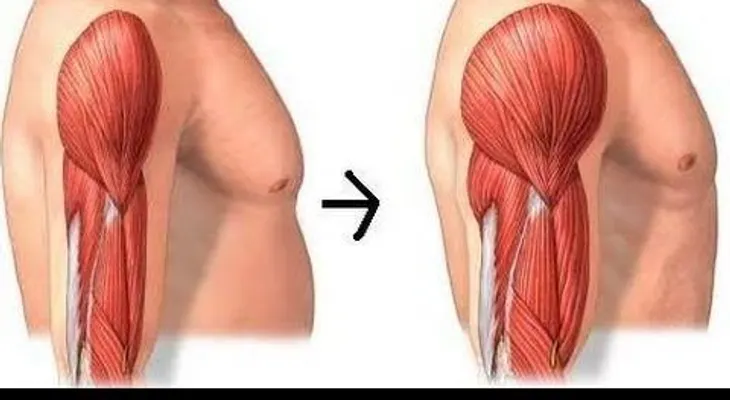 Trucos para aumentar Rápidamente los músculos (VIDEO) 
