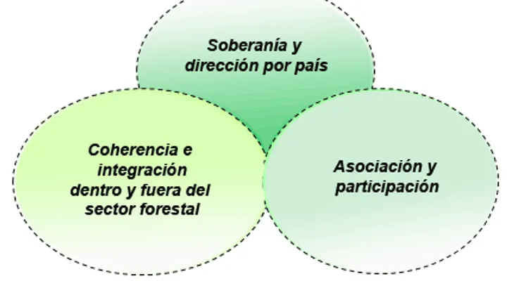 Preservar la Soberanía Nacional es un principio y derecho inviolable 