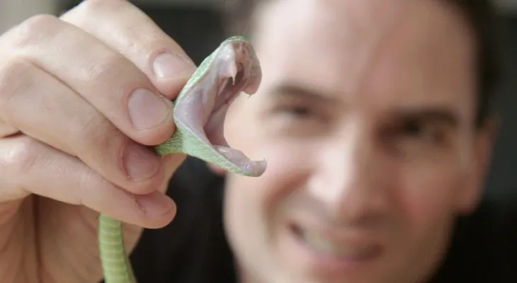 Este hombre es aficionado a inyectarse veneno de serpientes