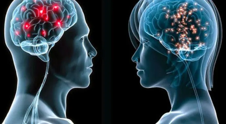 El cerebro de las mujeres envejece más lento que el de los hombres