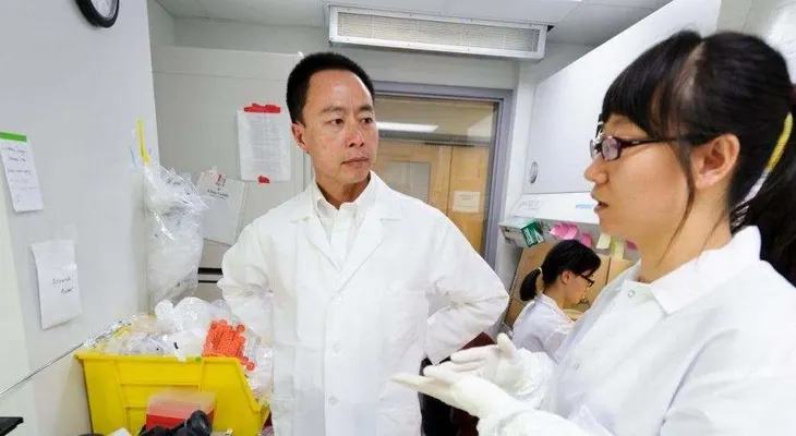 Los injertos de células cerebrales revierten síntomas de Parkinson en monos