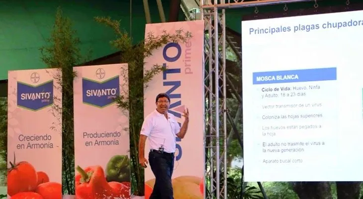 Bayer lanza insecticida para controlar plagas en vegetales