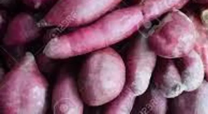 Ñame púrpura, un superalimento con antioxidantes y potasio que puede reducir el riesgo de cáncer 