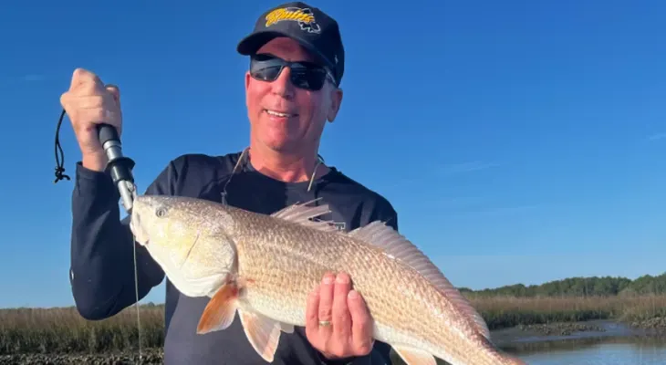 Garrapata le cambió la vida a un farmacéutico jubilado en Nueva Hampshire