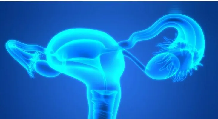 Síntomas del cáncer de cuello uterino que debes conocer