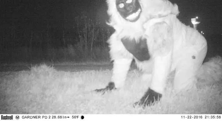 Policía que buscaba un león de montaña encontró unas criaturas "inusuales"