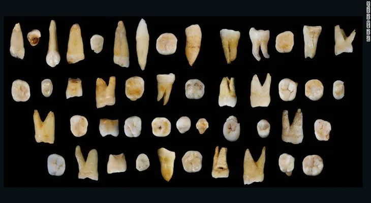 Dientes antiguos encontrados en China cuestionan la teoría de la migración