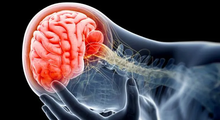 Día Mundial del Cerebro: Enfermedades comunes que afectan a este órgano