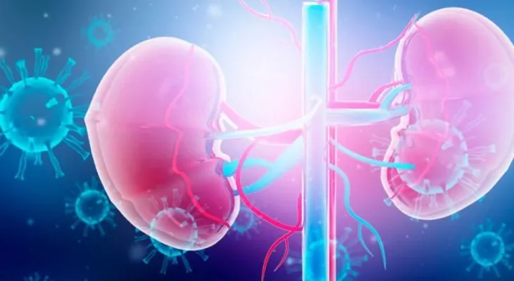 Los riñones de un donante con hepatitis C son aptos para trasplante