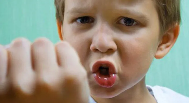 Bullying: ¿cómo contener la agresividad de un niño?