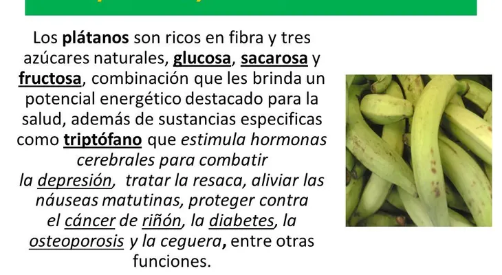 El consumo de plátano verde te controla el peso, regula la diabetes y el colesterol