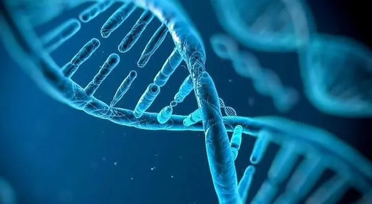 Un cromosoma X puede ser razón de longevidad femenina, afirma estudio