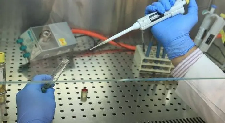  Crean un músculo humano que funciona a partir de células madre 